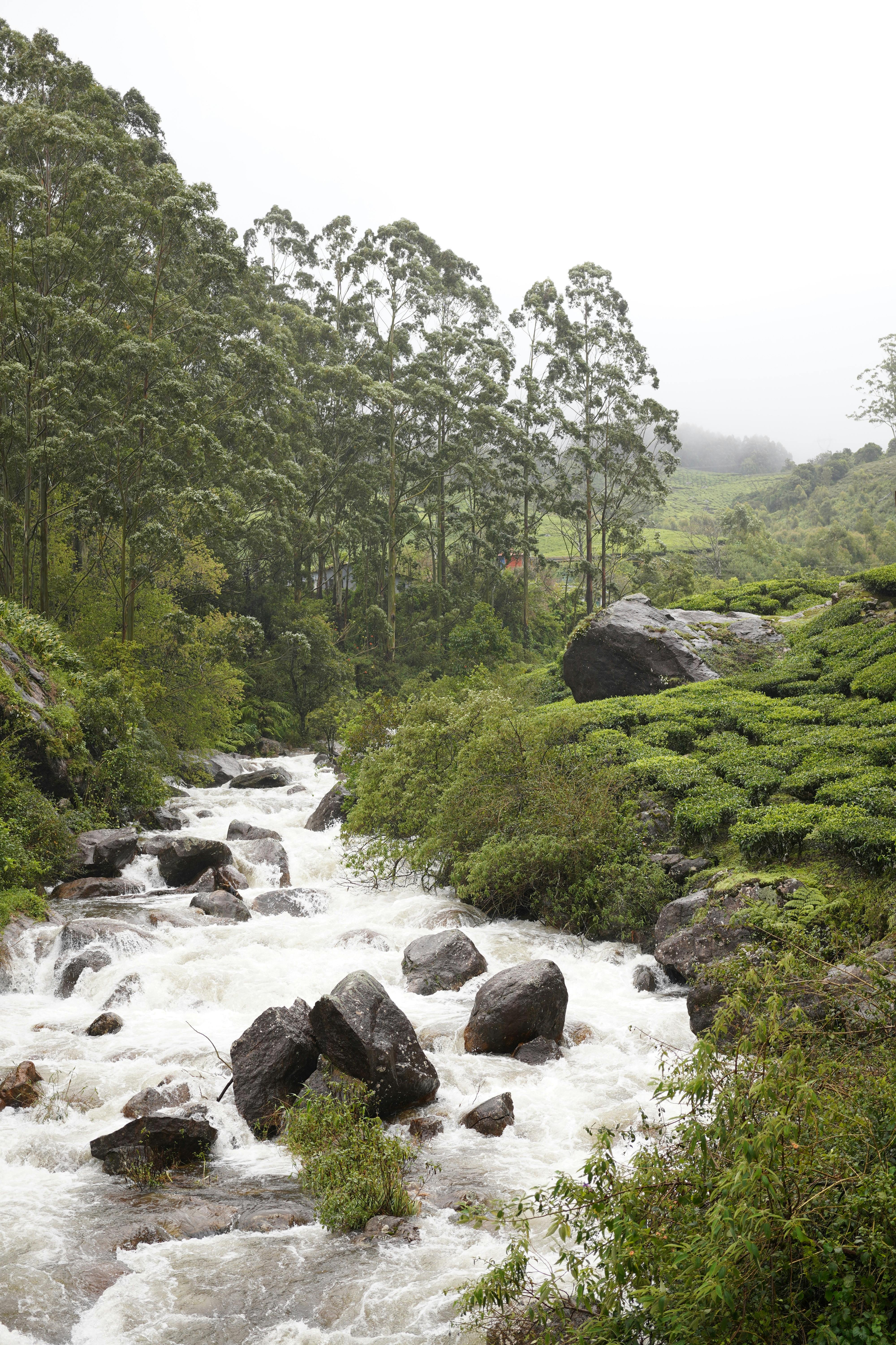 Adventure & Final Exploration